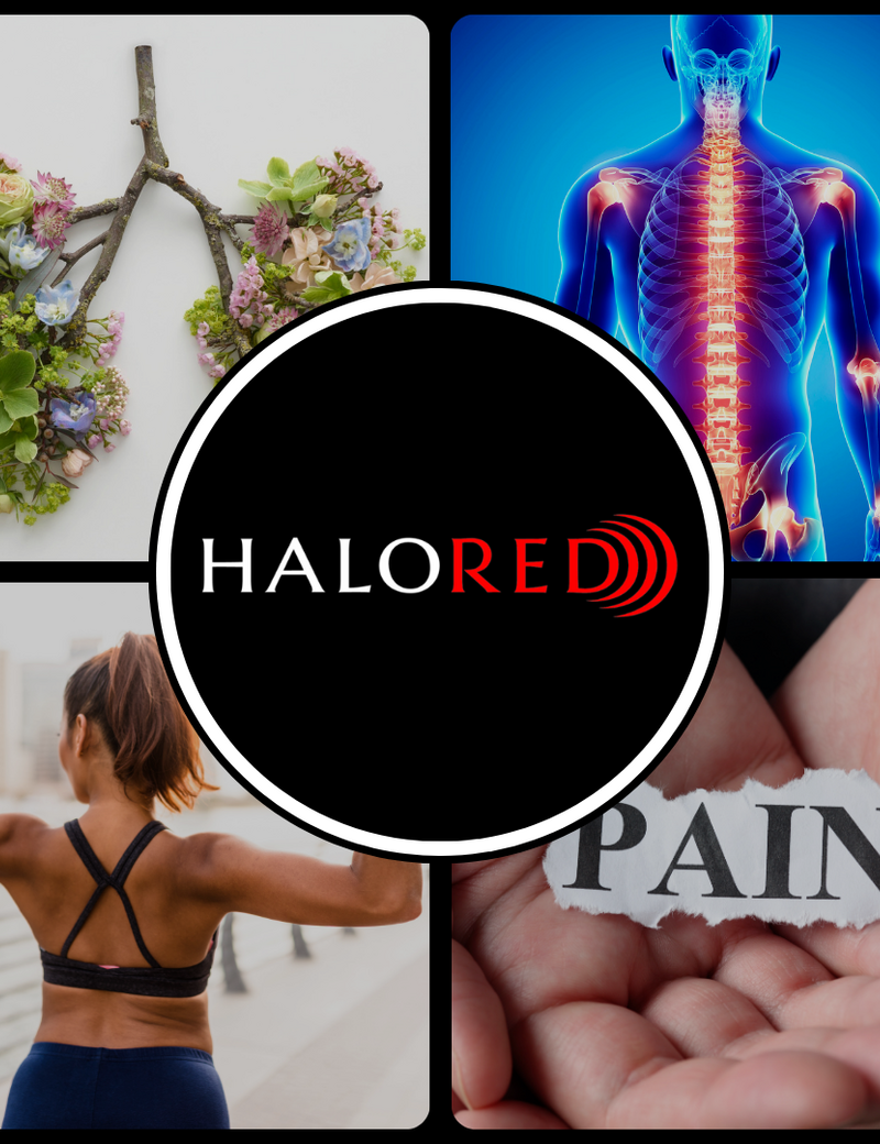 Modern Wellness Co.