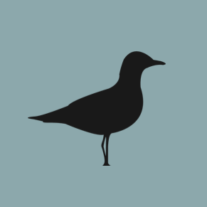 The Landing Counselling and Consulting Services