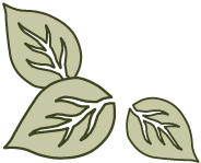 Maple Gates of Wellness