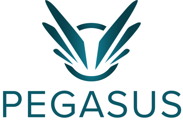 Pegasus Recovery Solutions
