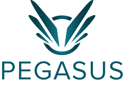 Pegasus Recovery Solutions