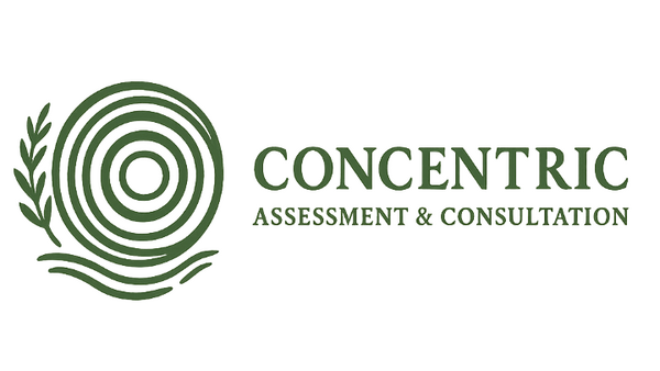 Concentric Assessment & Consultation