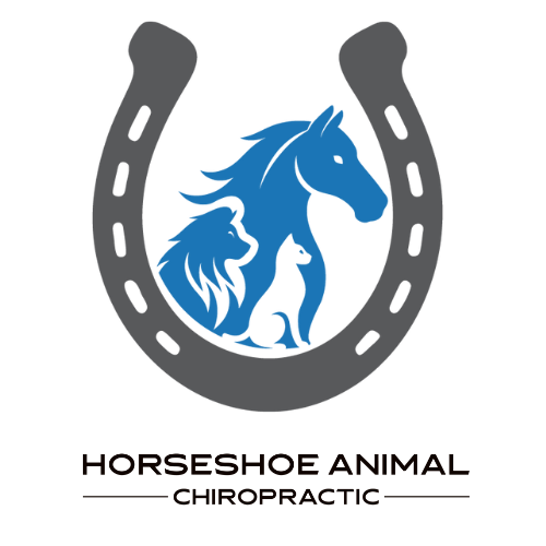 Horseshoe Animal Chiropractic